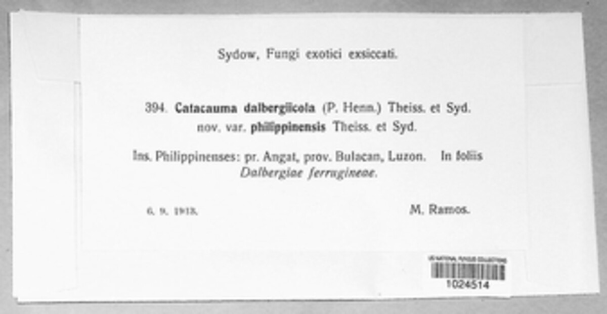 Phyllachora puncta image